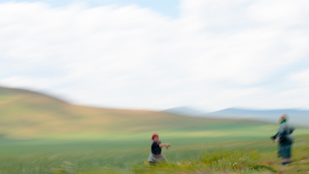 elderly couple walking in fields