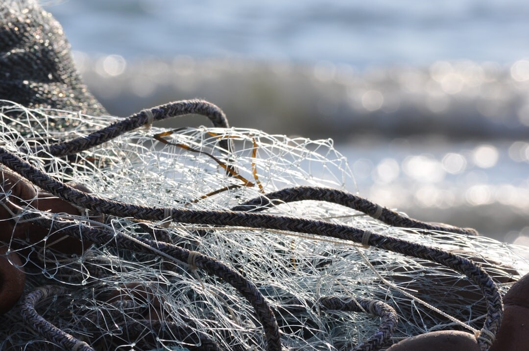 fisherman at sea with nets