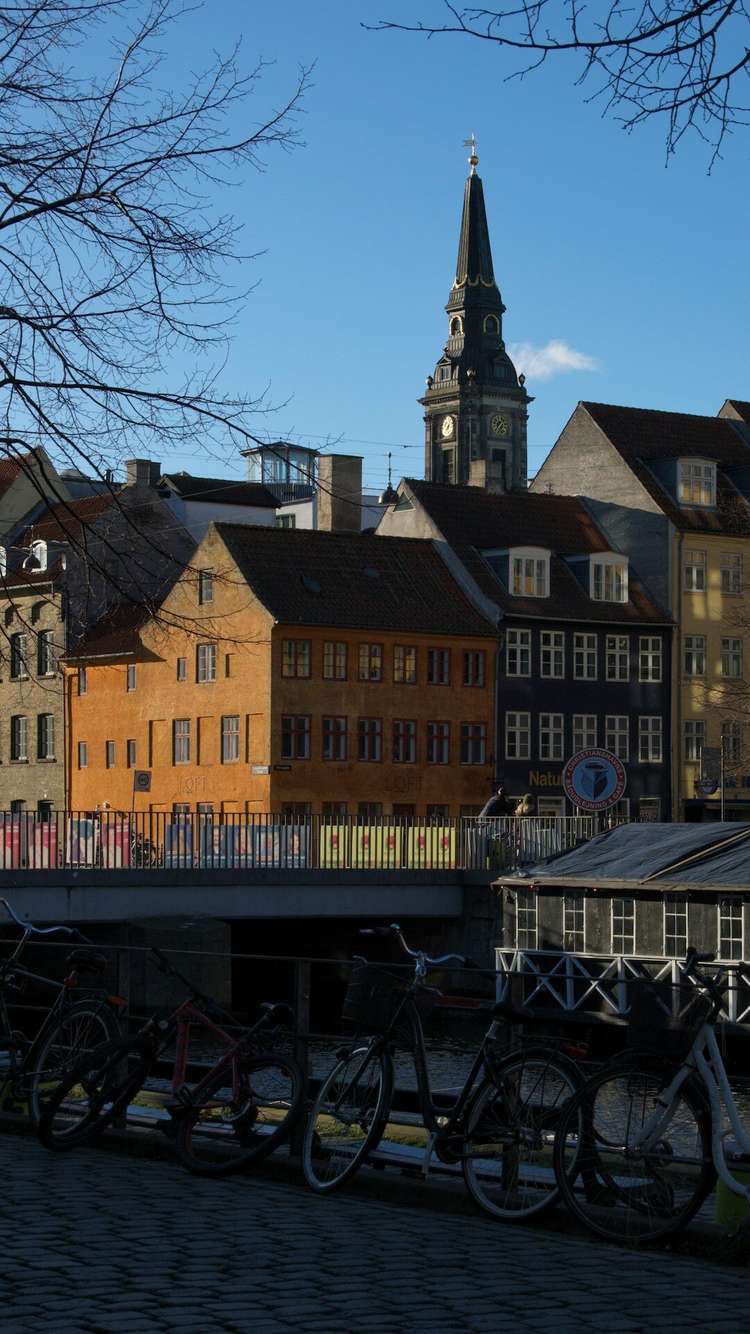 Children playing in a Danish neighborhood street during golden hour
