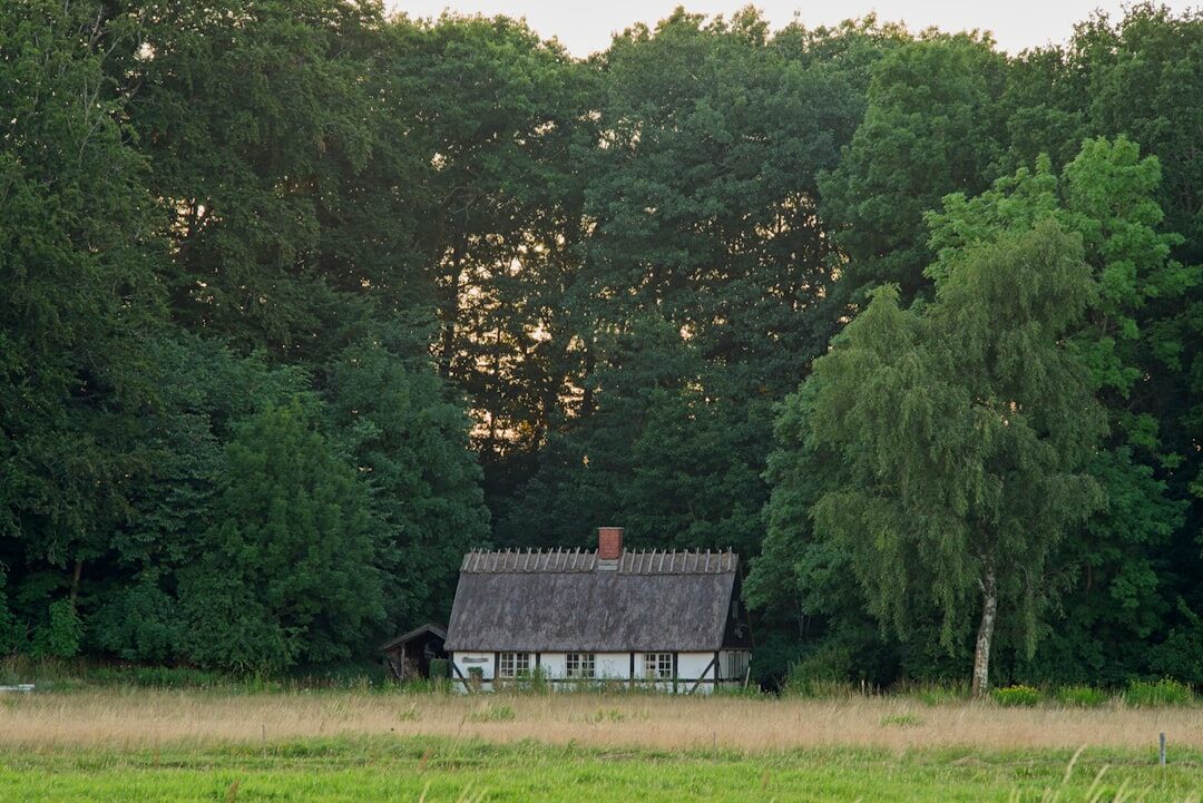 danish countryside landscape